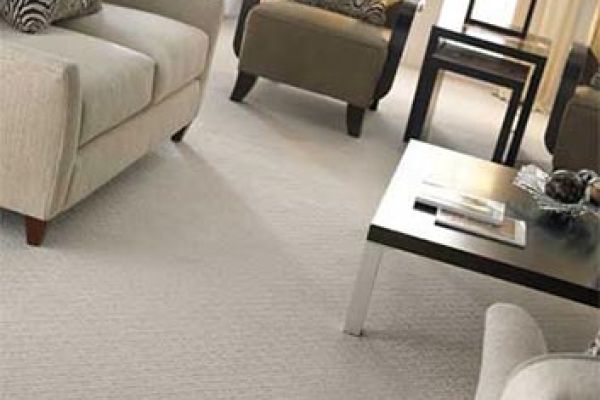 Low pile pattern carpet in living room