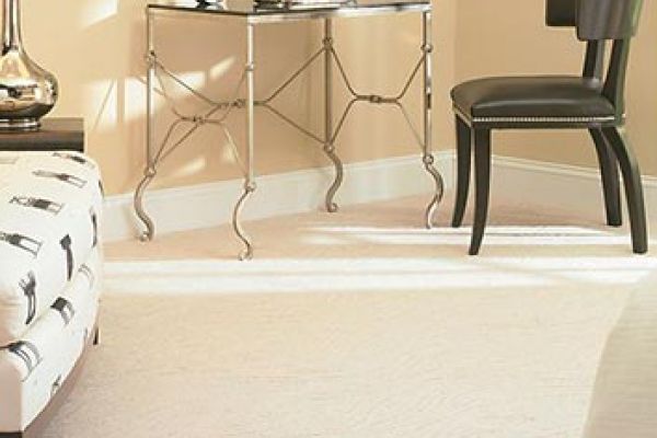 Light  color low pile carpet floor